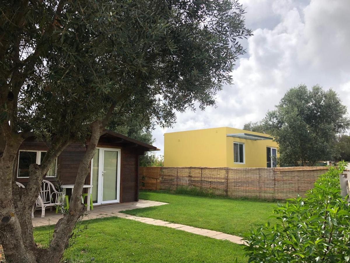 Villa Quinta Da Joia Silves Esterno foto